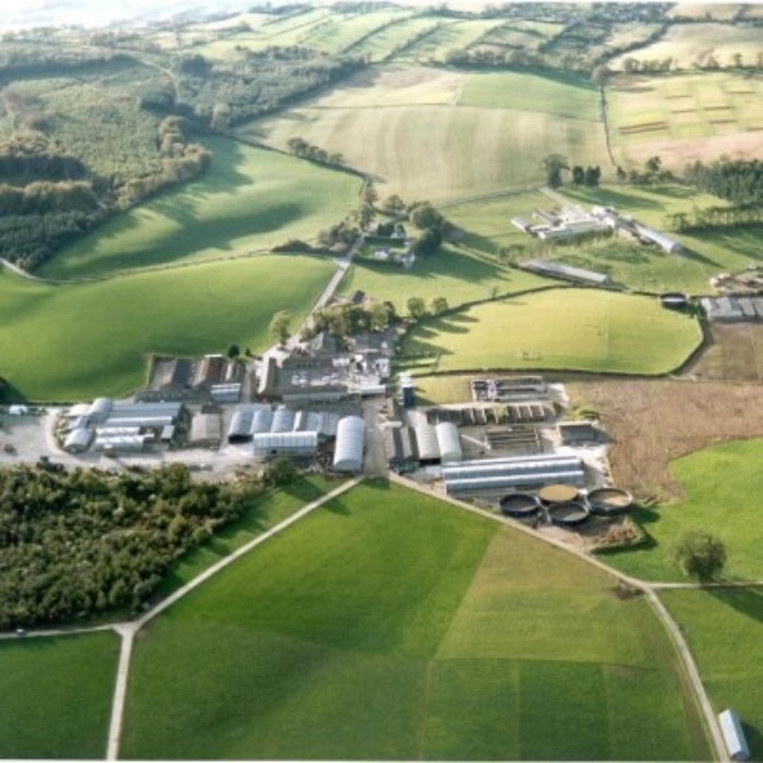 An aerial view of the Agri-Food and Biosciences Institute’s (AFBI) Hillsborough site in County Down. The site supports leading research in animal science, agri-environmental systems, and sustainable farming practices across Northern Ireland.