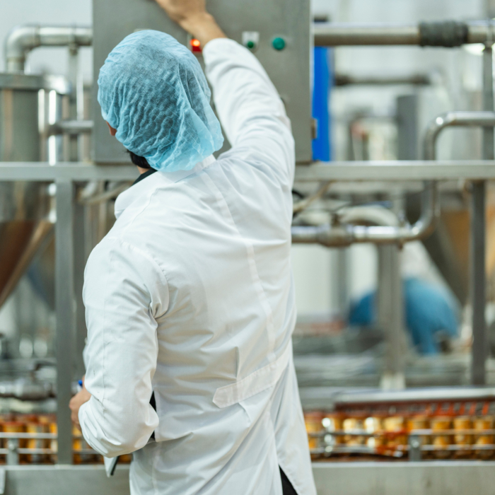 A person in a light-colored, likely white, lab coat and a light-blue hairnet is partially visible from the back, standing in a large industrial food processing facility. The person is inspecting or monitoring a series of stainless steel machines and equipment. The machines are various sizes and appear to be involved in food production, potentially handling or packaging some sort of food product. The background is filled with various pieces of industrial equipment, pipes, and metal structures common in a food processing plant. The focus is on the person, with the background slightly out of focus; this creates a sense of depth. Several items, potentially food products, in a light brownish-orange hue are in a tray-like structure in the foreground. The lighting suggests an indoor environment. Pipelines and other industrial machinery parts are prominent in the background.